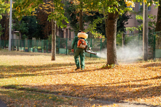 Best Affordable Pest Control Services  in Pearsall, TX