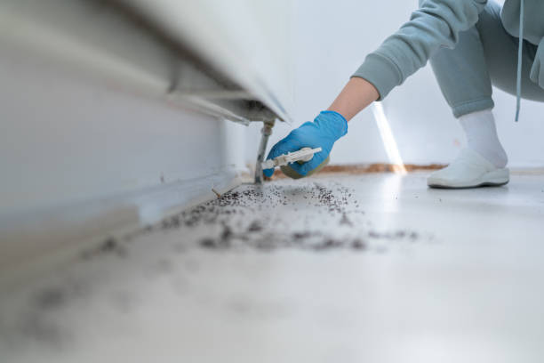 Best Best Pest Control Companies  in Pearsall, TX